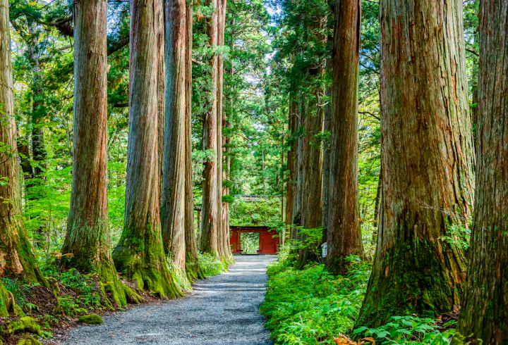 Togakushi Shrine Okusha
