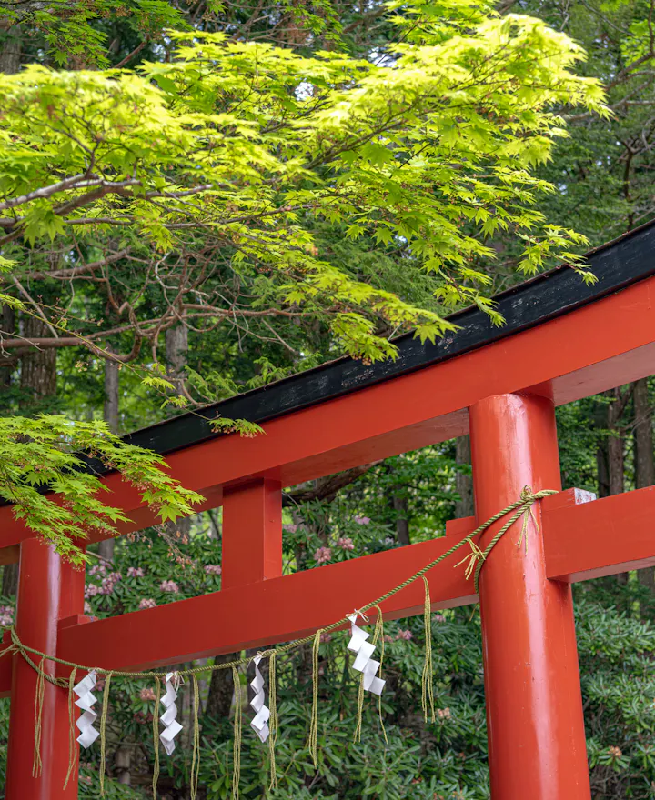 Futarasan Shrine Futarasan Shrine