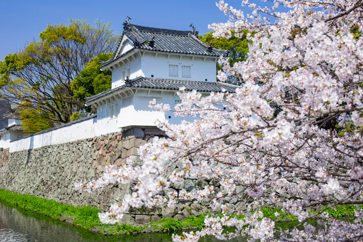 Oita Funai Castle Ruins
