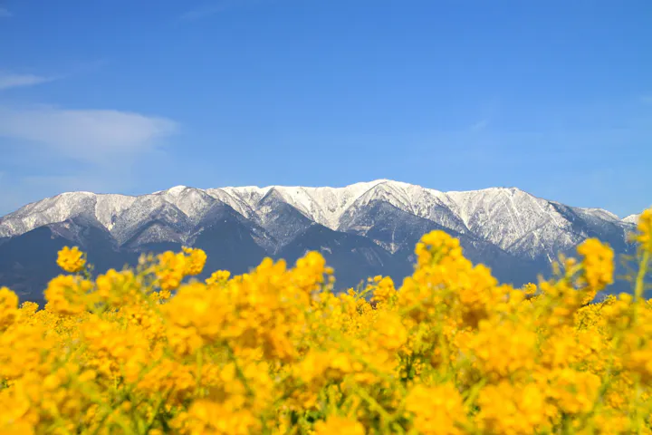Biwako Valley