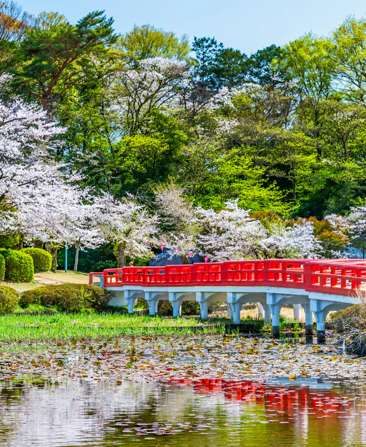 Iwatsuki Castle Park Iwatsuki Castle Park