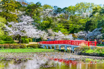 Iwatsuki Castle Park