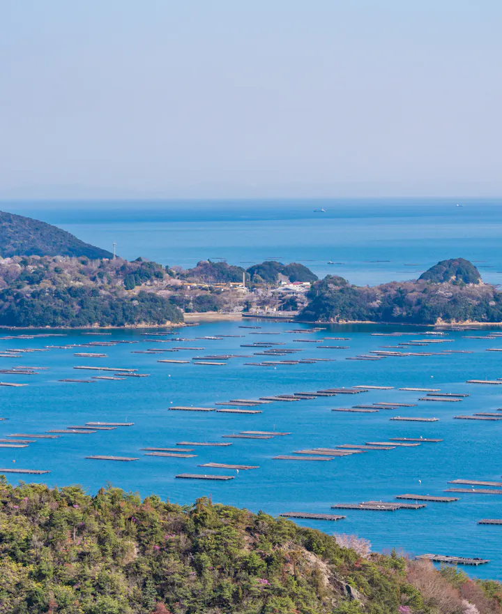 Mushiage Bay Mushiage Bay
