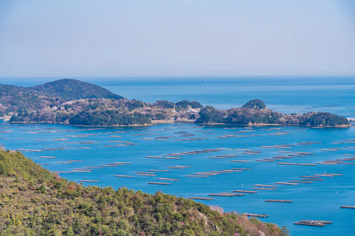 Mushiage Bay