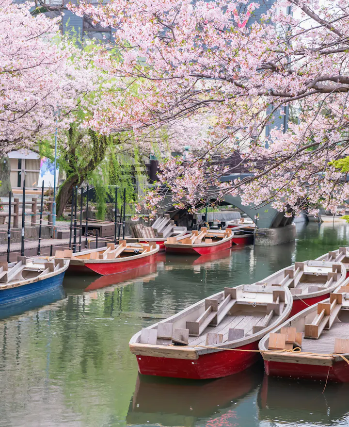 Yanagawa Canals Yanagawa Canals