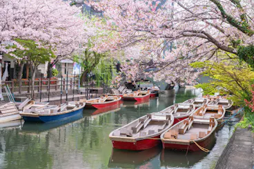 Yanagawa Canals
