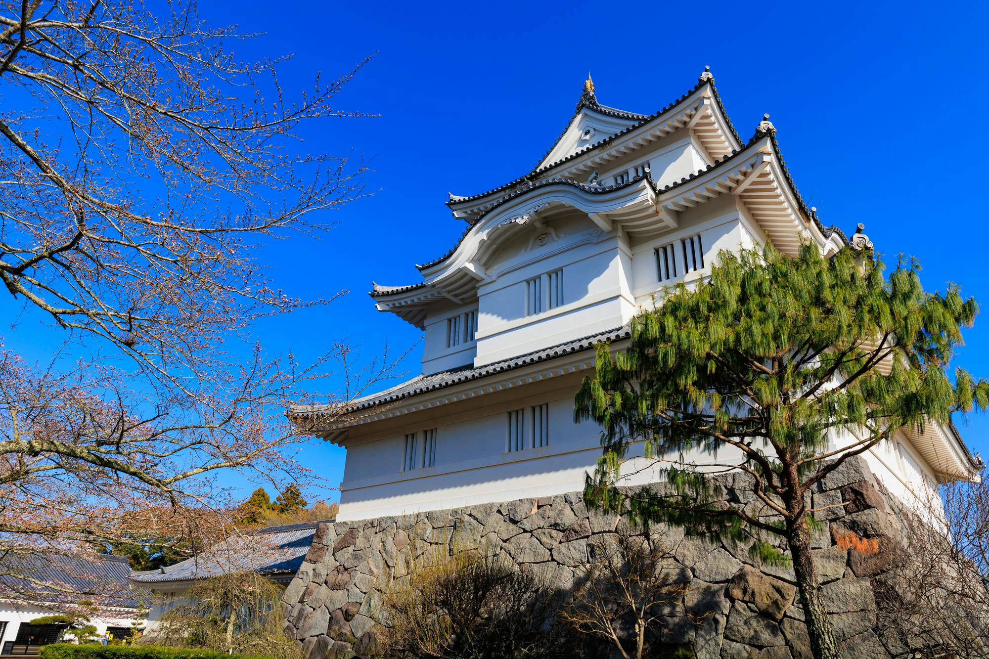 Otaki Castle