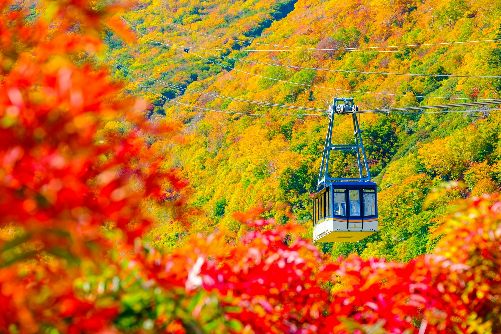 Tateyama Ropeway