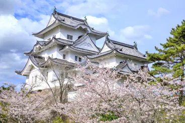 Iga Ueno Castle