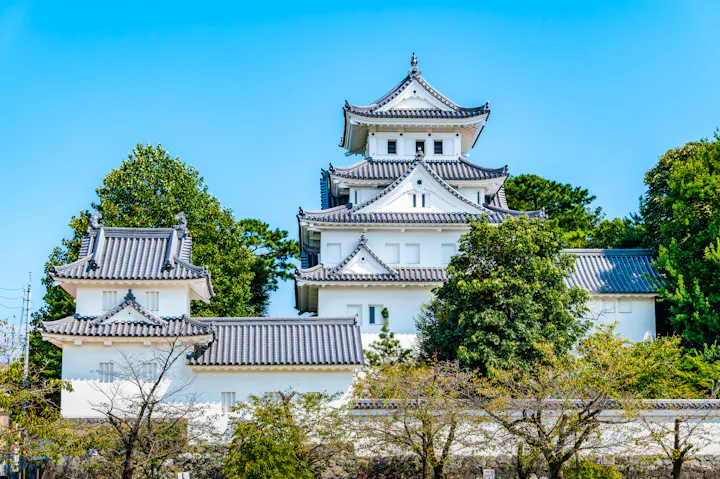 Ogaki Castle