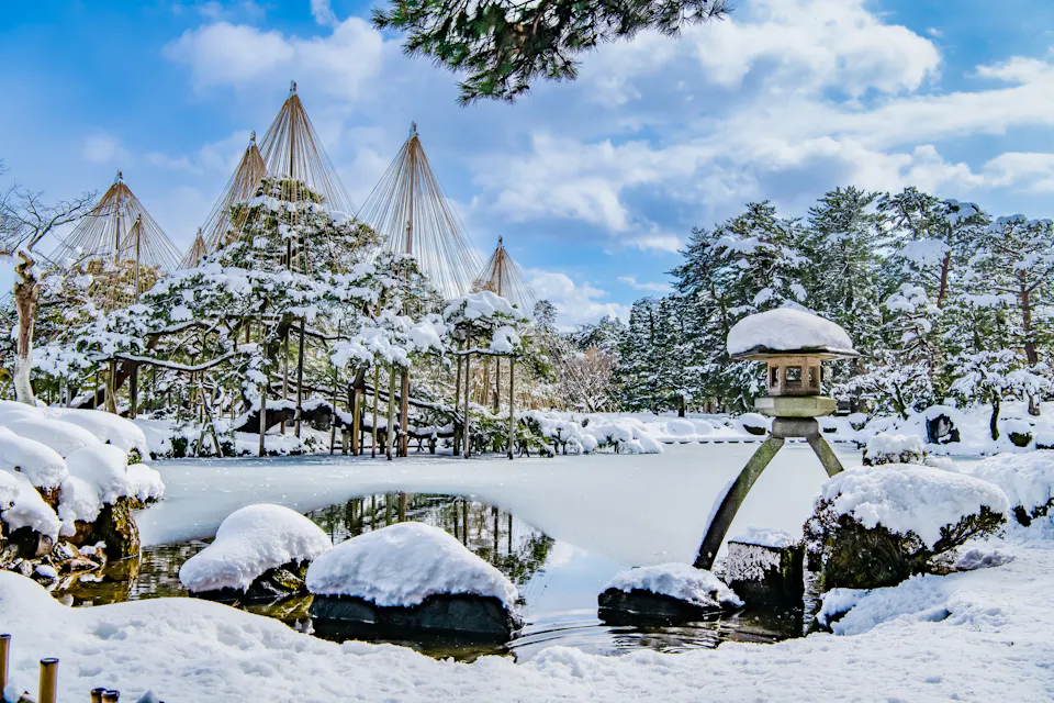 The yukitsuri ropes at Kenrokuen in Kanazawa protect the pine branches from heavy Sea of Japan snow. Snow covering the pine trees and stone lantern of Kenrokuen Garden in Kanazawa, with rope supports fanning out above the trees