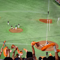 Japanese Baseball Japanese Baseball