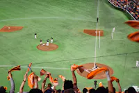 Japanese Baseball