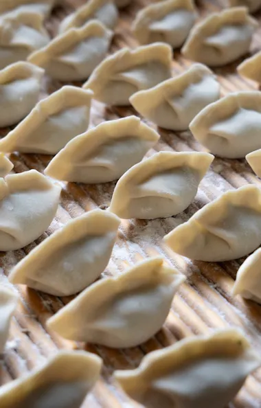 Gyoza Gyoza
