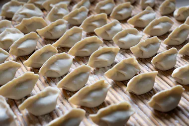 Gyoza