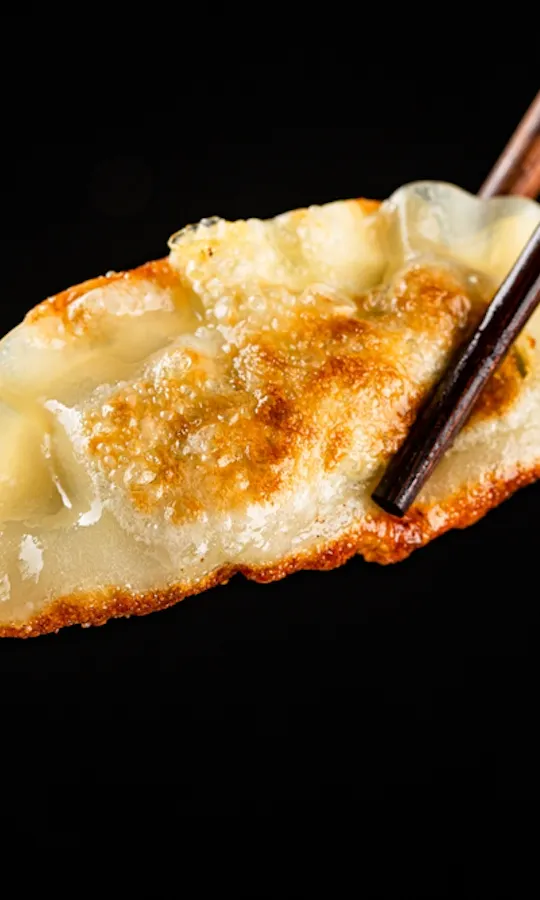 Gyoza Gyoza