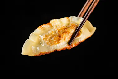 Gyoza