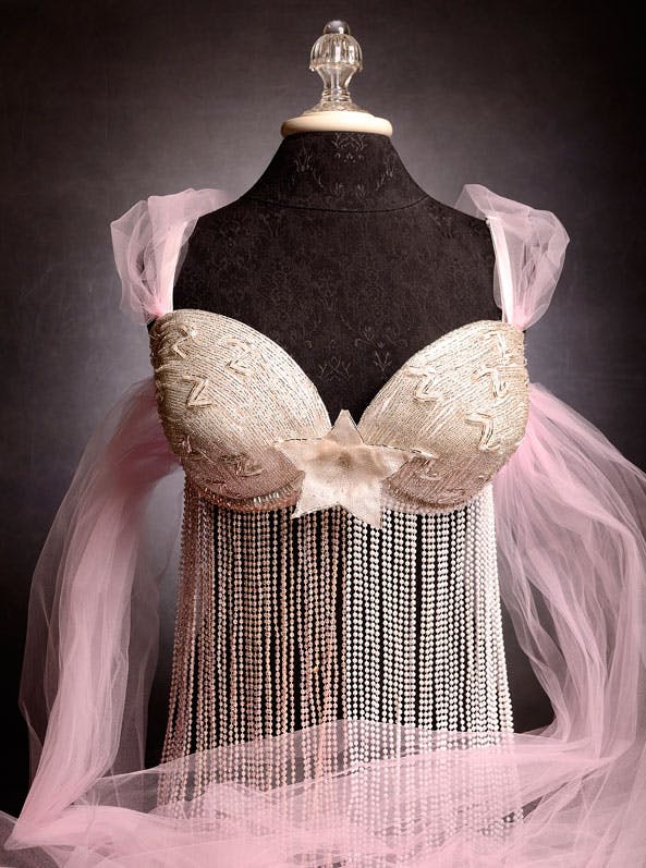 fancy bra