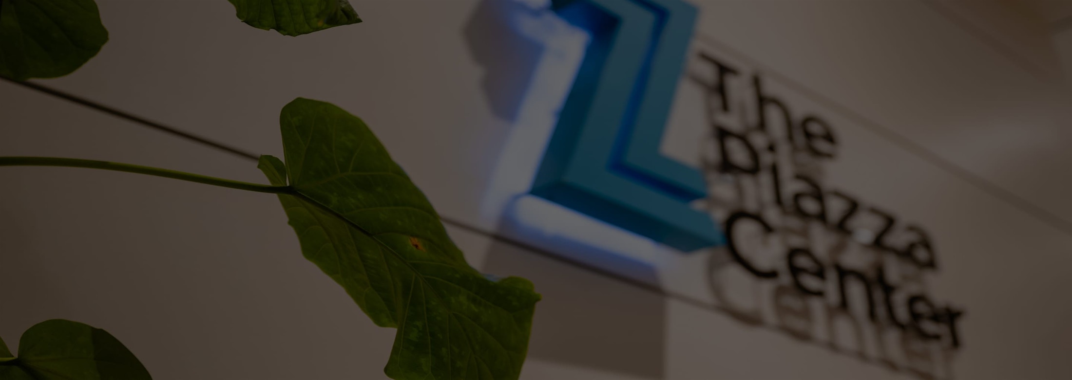 Banner media
