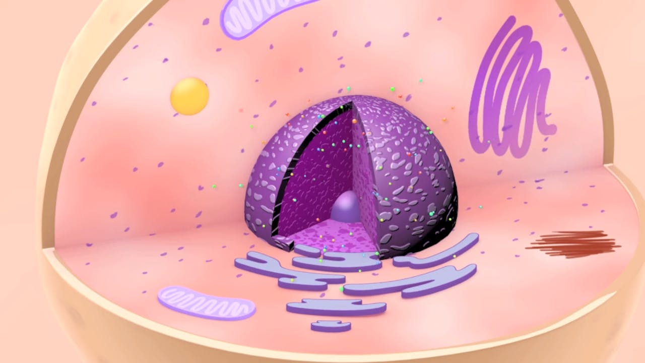 Illustrated image