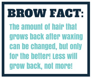 browfact1