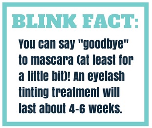 blinkfact1