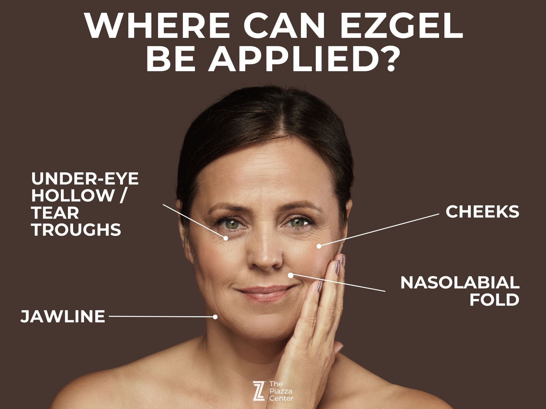 ezGEL application infographic