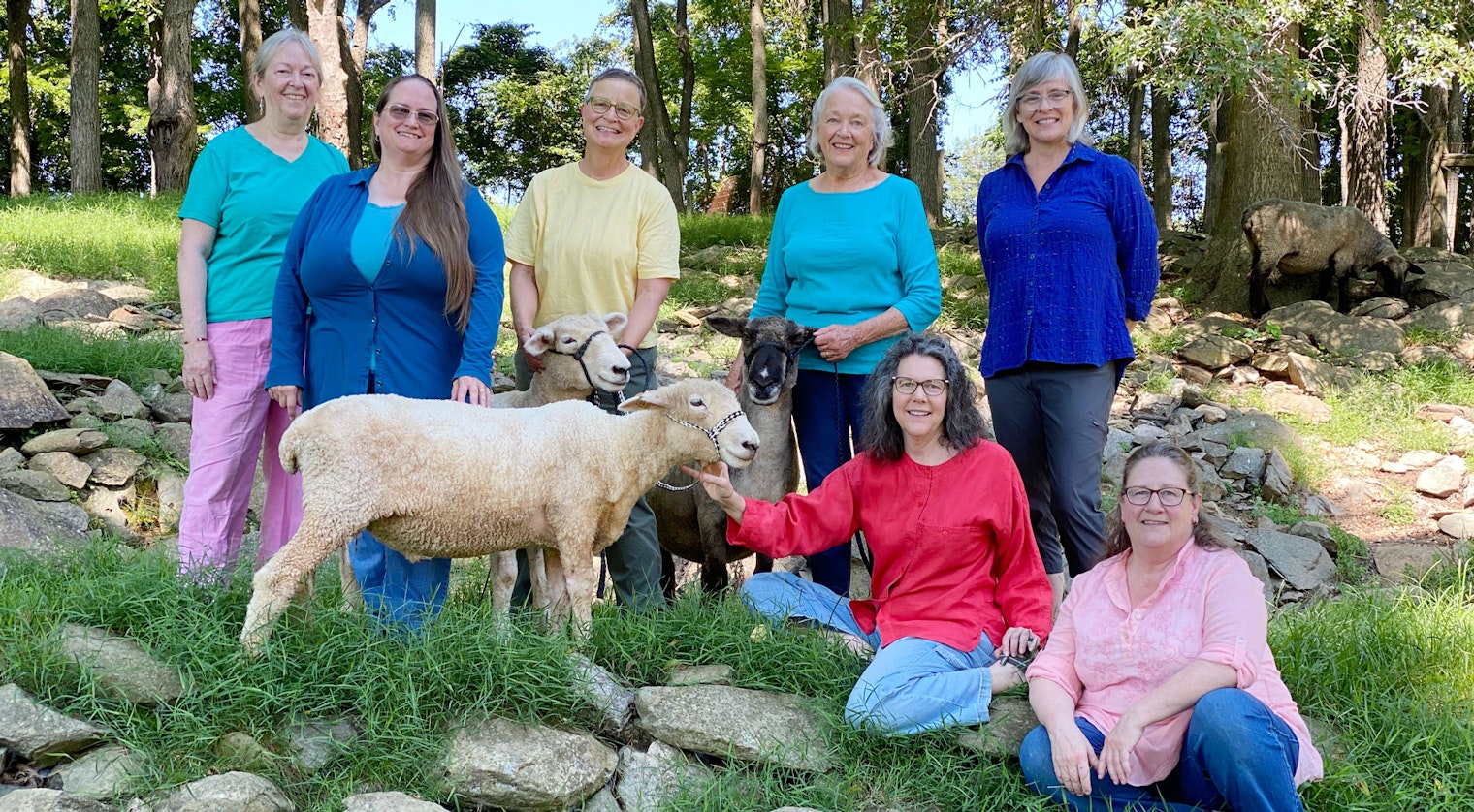 Severn women and 4 sheep
