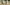 Alpaca—Accessible Luxury Primary Image