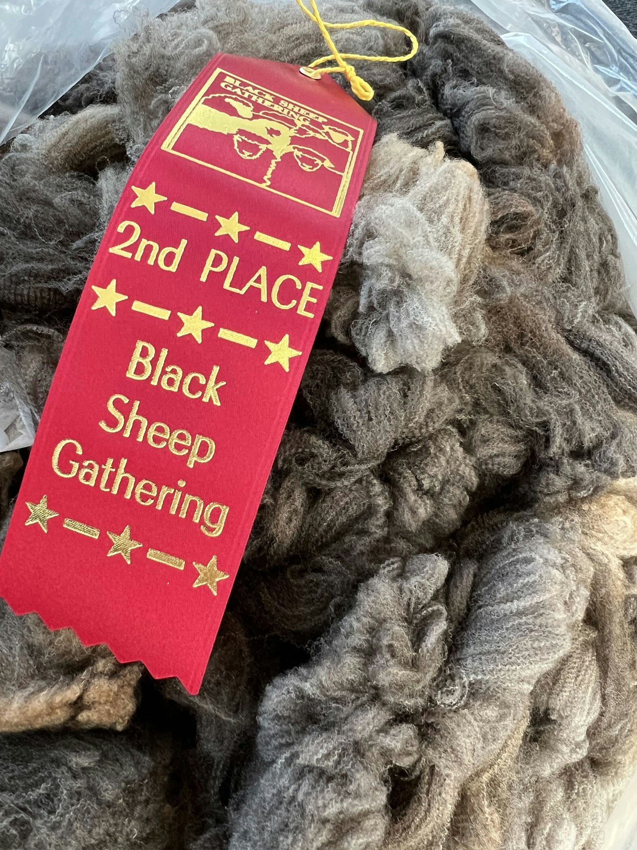 Variegated gray fleece with red second prize ribbon