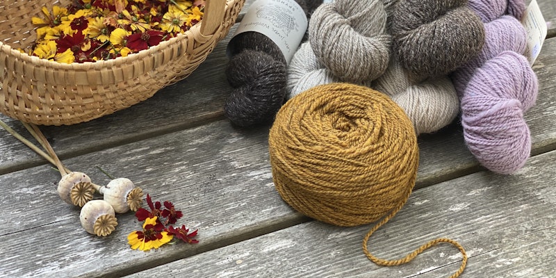 A variety of small-batch yarns from crossbred wools. Photos by Sarah Pope