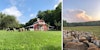 Staying on a Fiber Farm Image