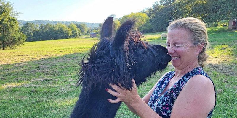 Black alpaca on left nose-to-nose with woman with blond hair