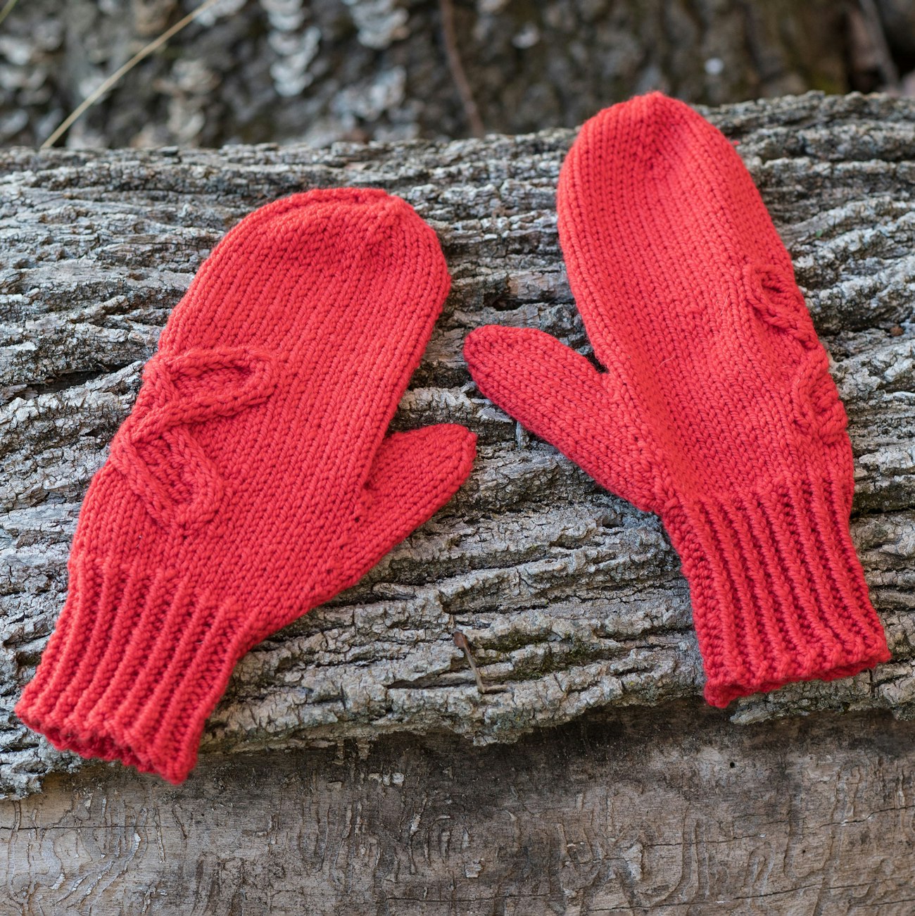 Two red mittens on a log