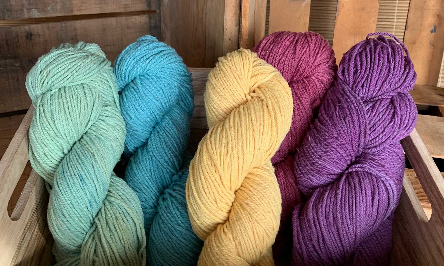 Montana Targhee from Nevermore Ranch 406. Courtesy of Heather Smith