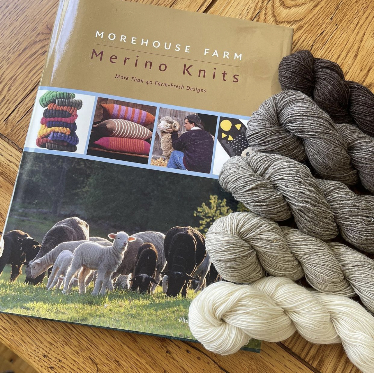 Morehouse Farm Merinos A Pioneering Yarn Farm Farm & Fiber Knits