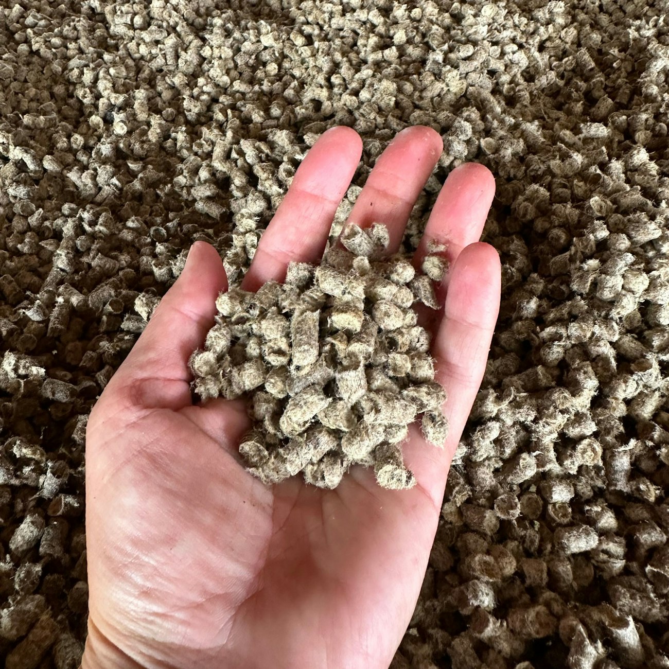 Hand filled with tan pellets