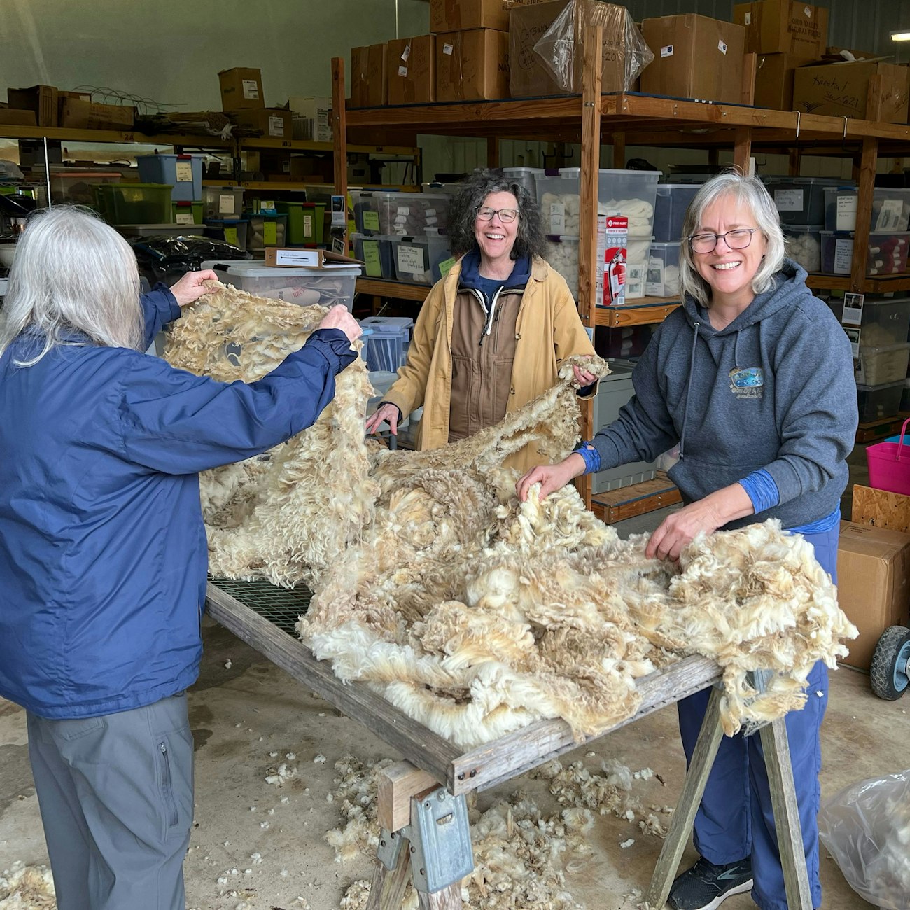 Three women with wool fleece on table