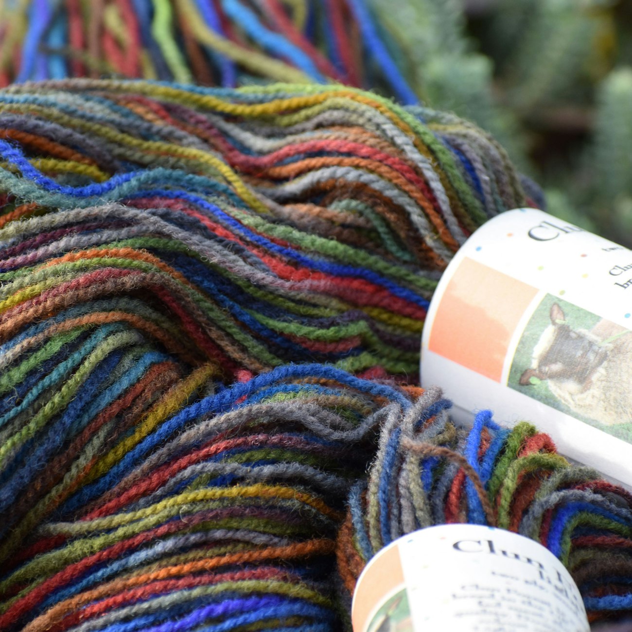 Multicolored hank of yarn