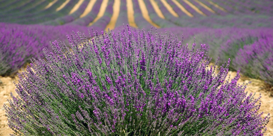 seasonal wool storage