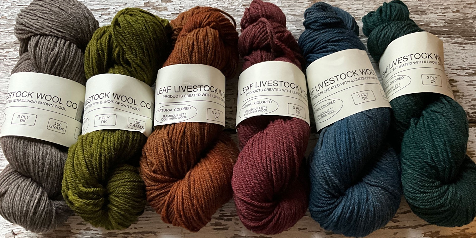 Muted autumn colors of 3-ply DK wool