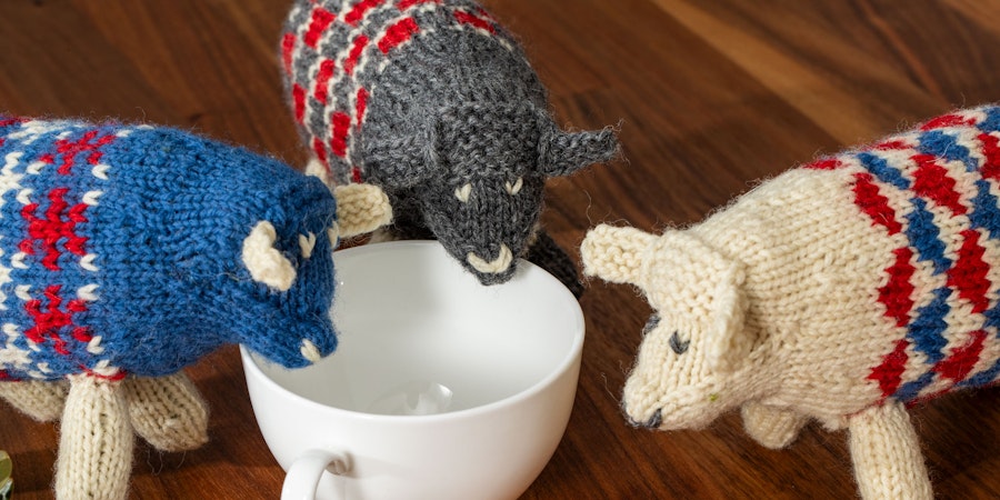knit sheep