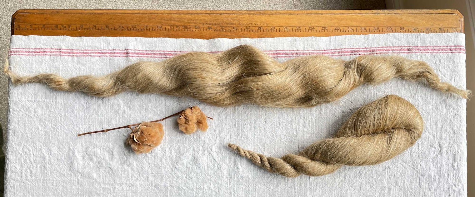 Groups of tan linen fiber and brown cotton bolls on white linen cloth and brown measuring table