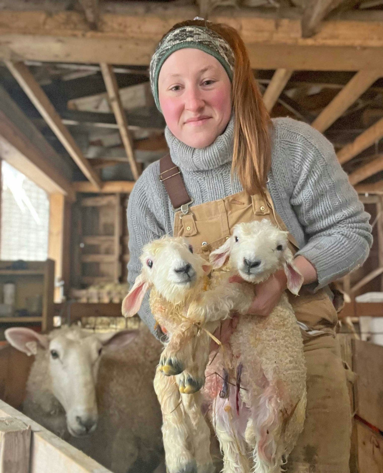 Siri Swanson of Yankee Rock Farm holds newborn Border Leicester lambs. Courtesy of Siri Swanson