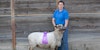 Strategies for Blue-Ribbon Knitting at the State Fair Image