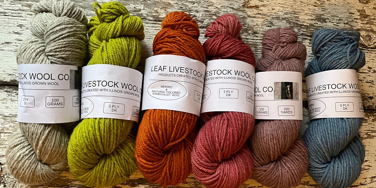 Oatmeal, chartreuse, orange, cranberry, dusty rose, and slate blue yarn