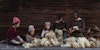 In Full Bloom: From Waste to Worsted Image