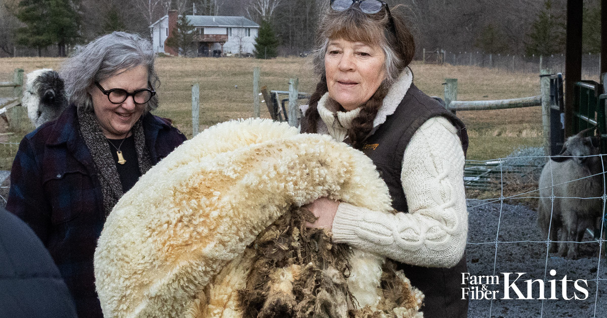 Episode 2: In Skilled Hands  Image