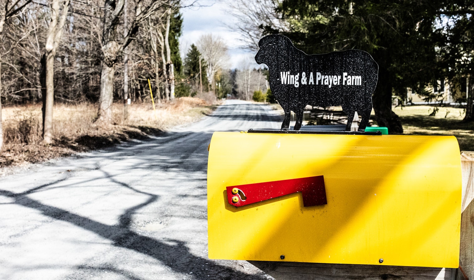 Yellow mailbox with sheep and “Wing & A Prayer Farm” on top next to a gravel road