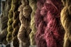 Flattering Harvest Hues  Image